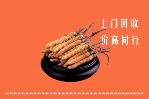 高价求购：成都蒲江回收散虫草