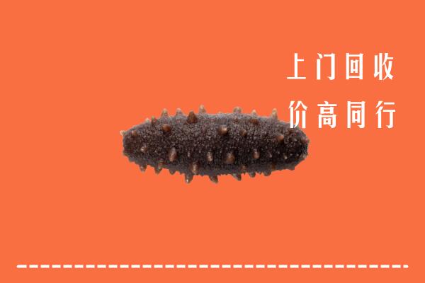 高价求购：成都蒲江回收海参
