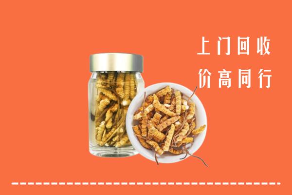 成都蒲江回收冬虫夏草